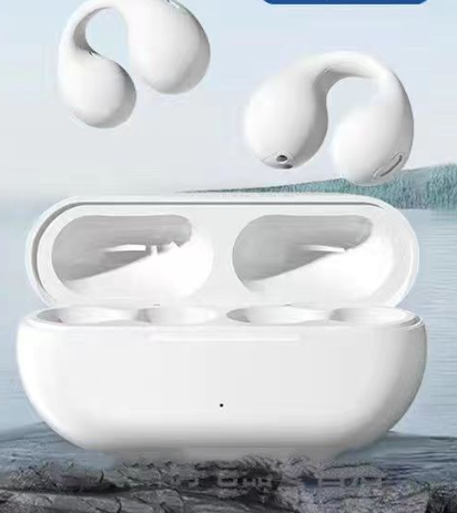 Daltoinic - Shower Pod Earbuds