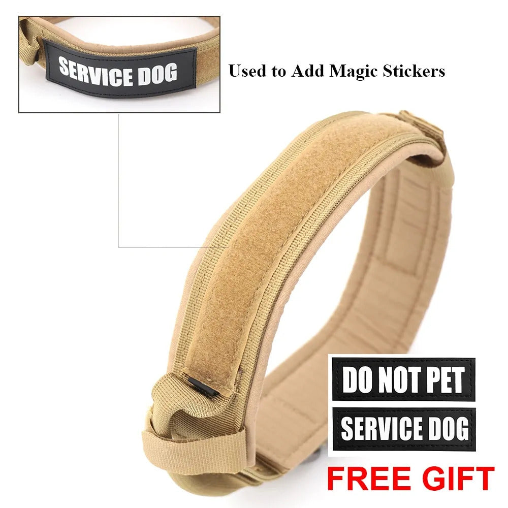 Dog Collar & Leash