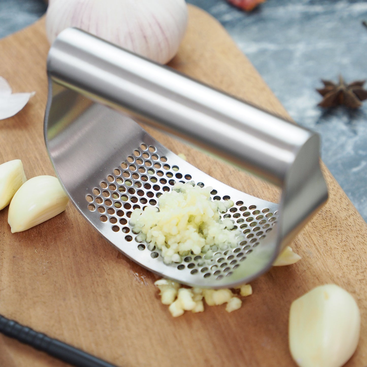 Stainless Steel Garlic Presser