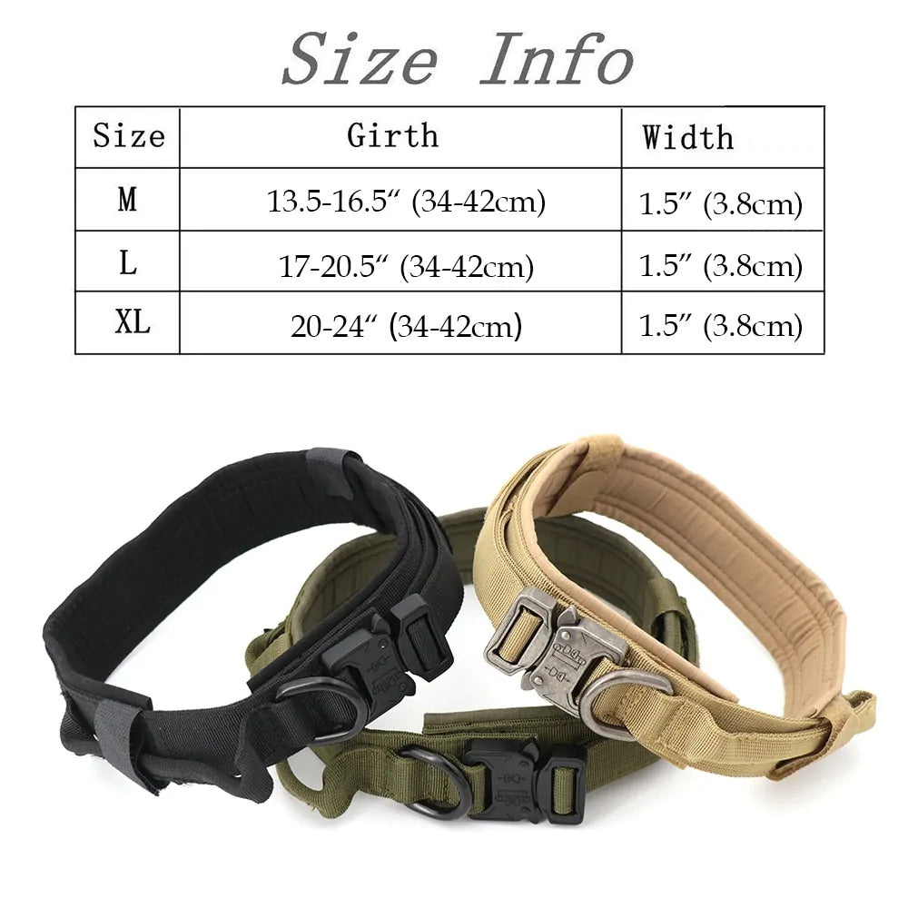 Dog Collar & Leash