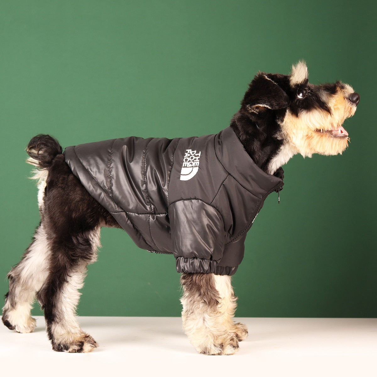 Warm Windproof Winter Dog Coat