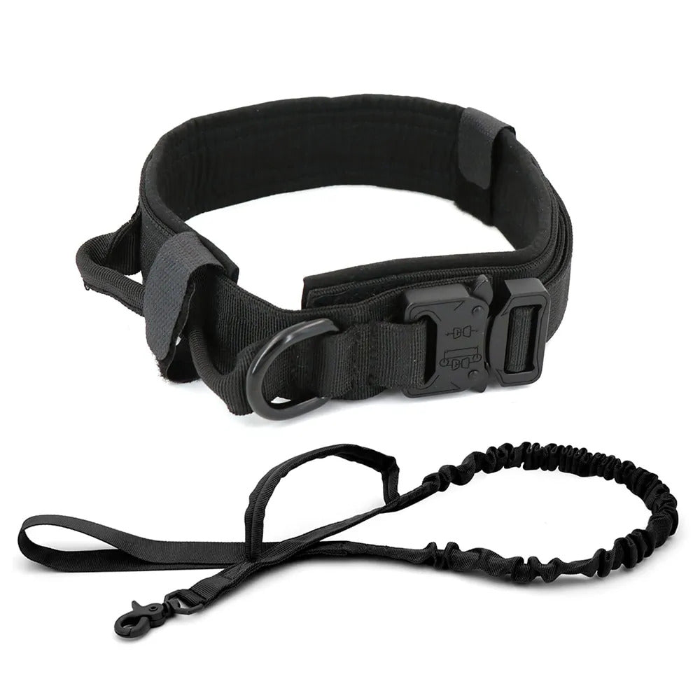 Dog Collar & Leash