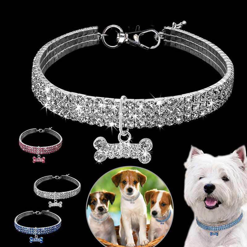 Pet Collar - Blinged Out