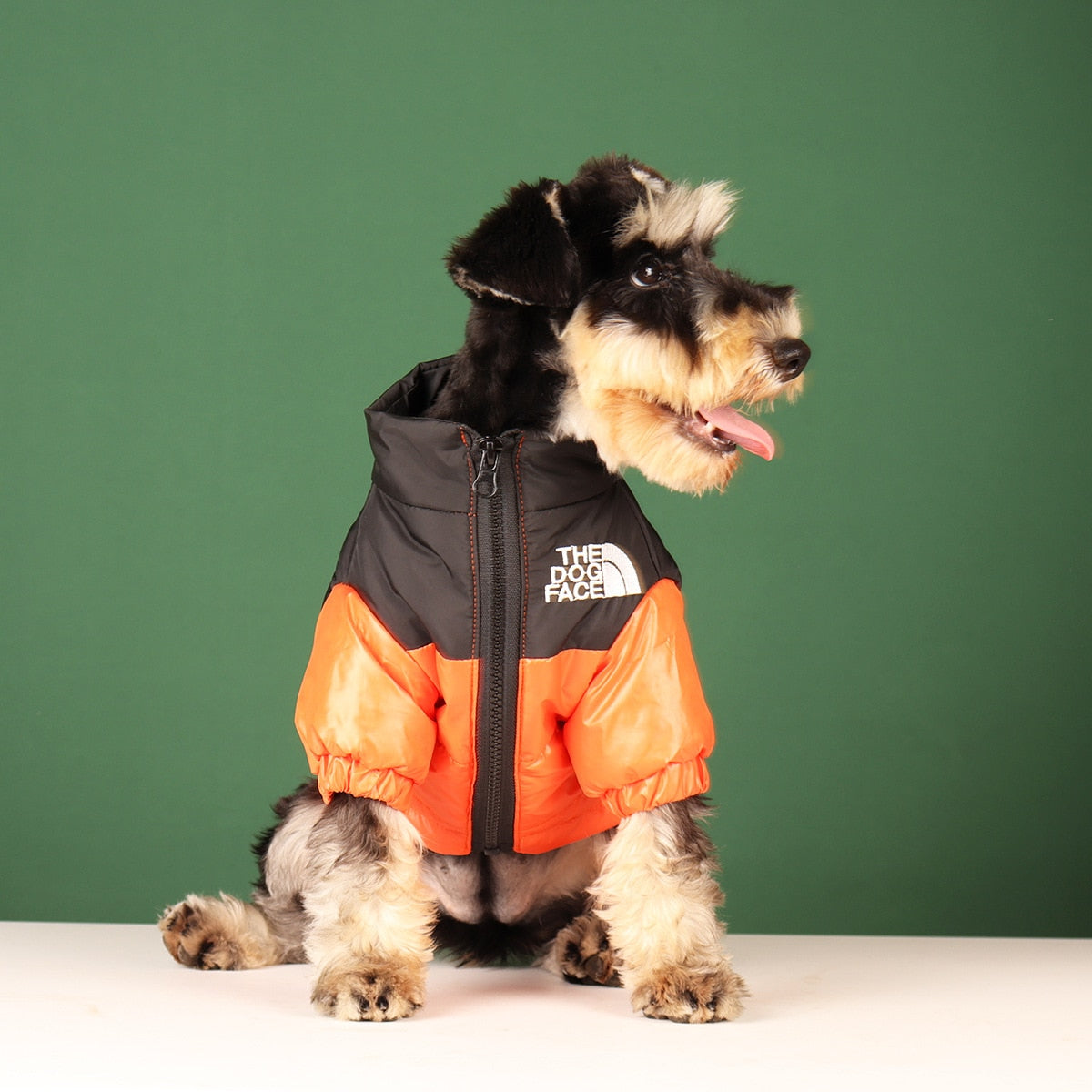 Warm Windproof Winter Dog Coat