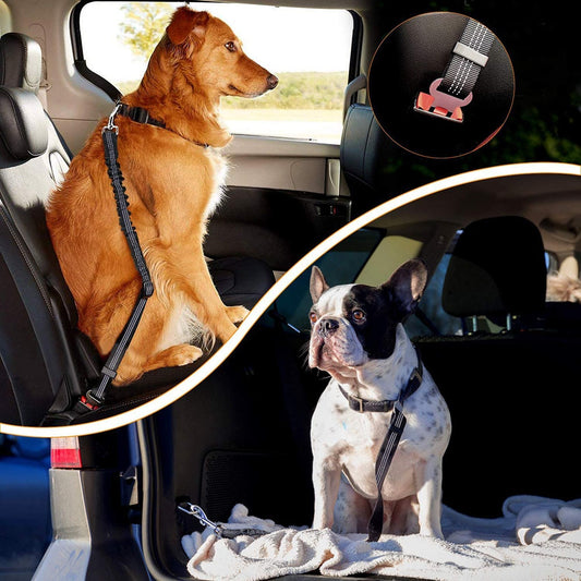 Adjustable Dog Seat Belt