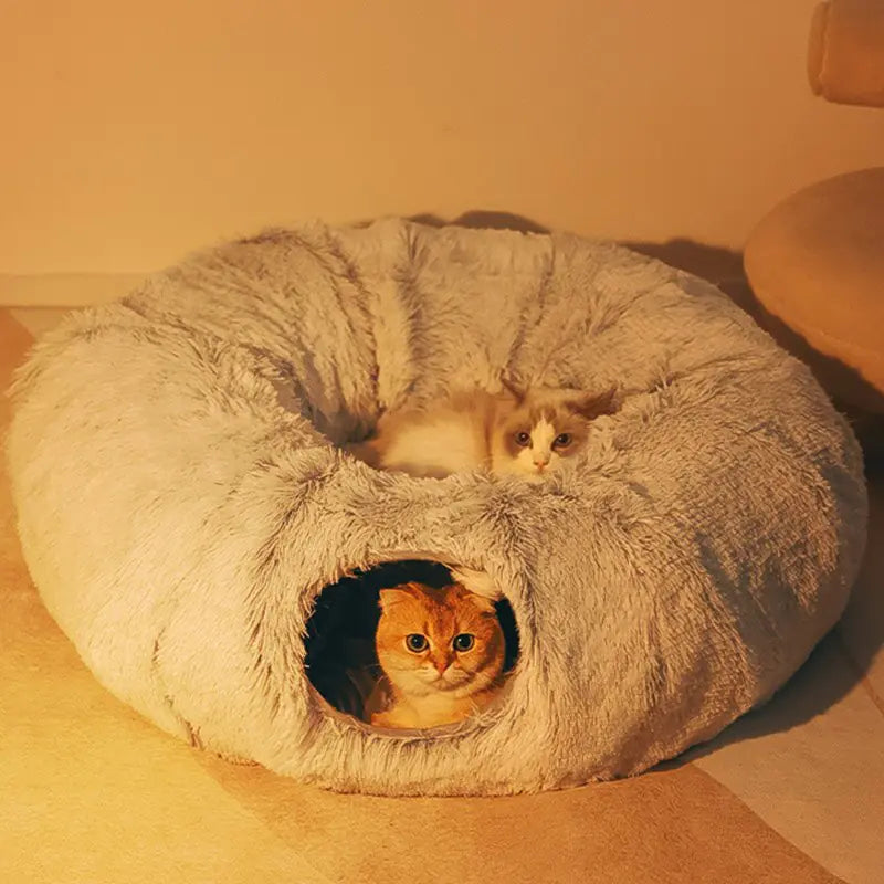 Cat Bed/House