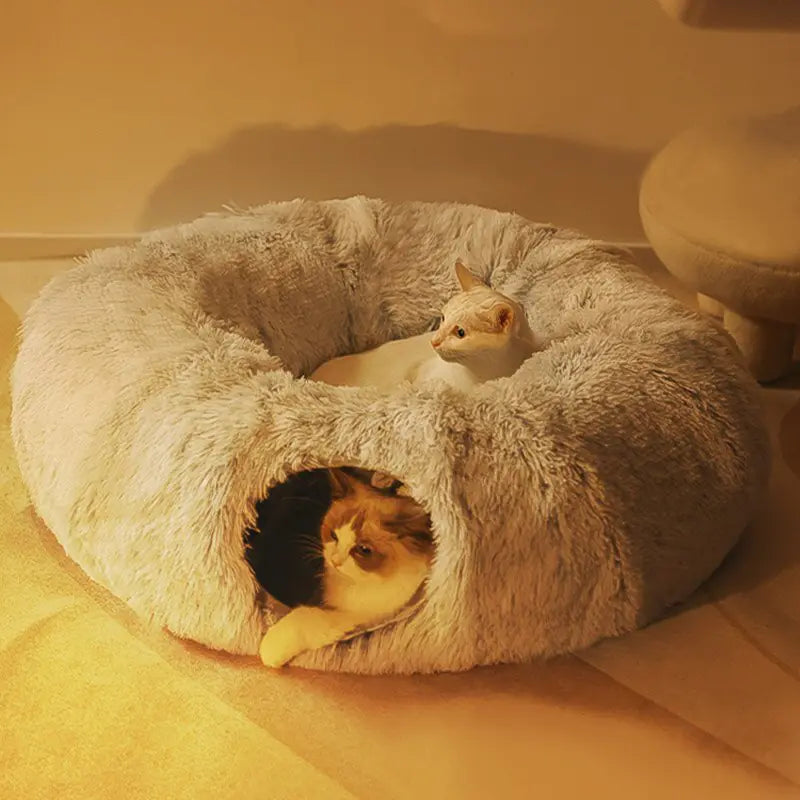 Cat Bed/House