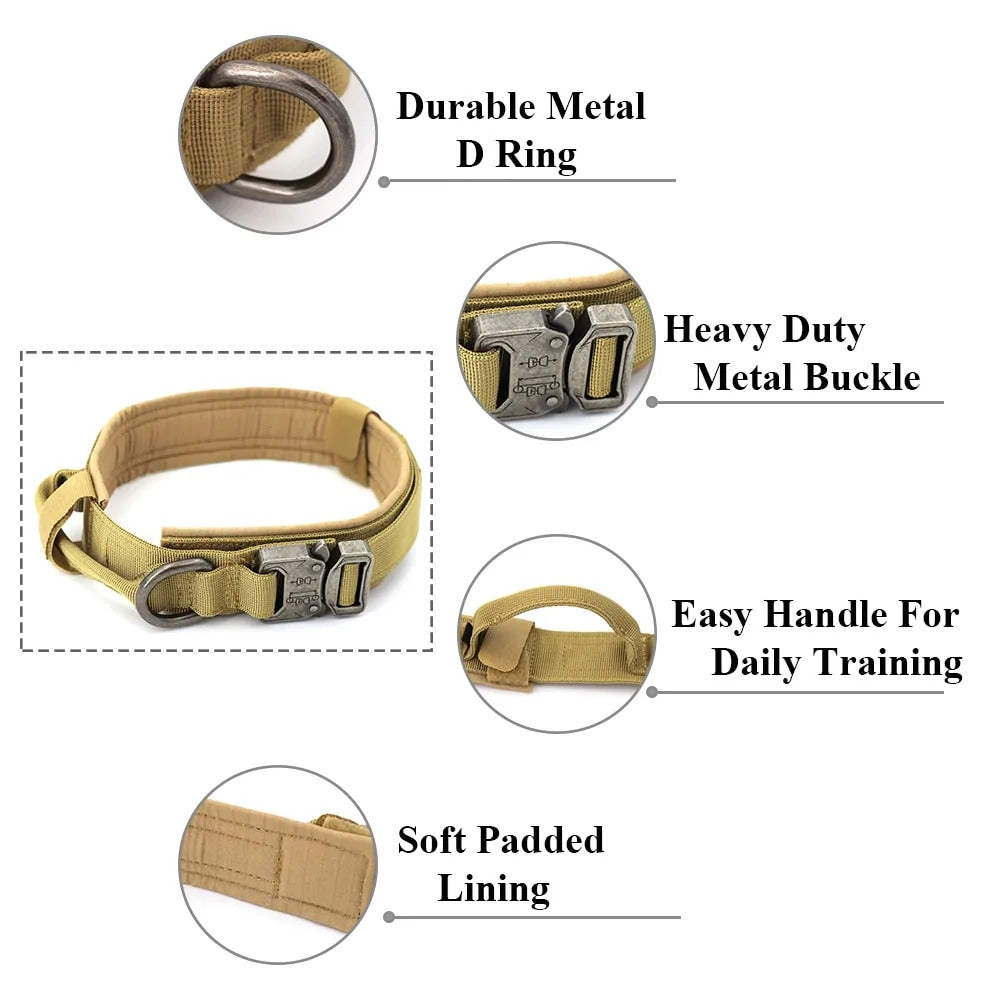 Dog Collar & Leash