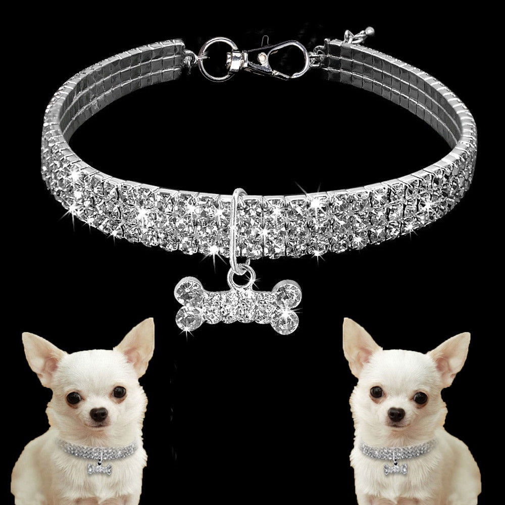 Pet Collar - Blinged Out