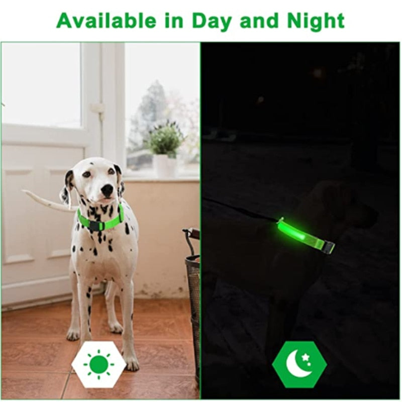 Glowing Dog Collar