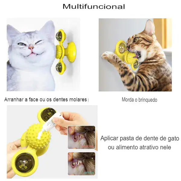 Spinner Cat Toy